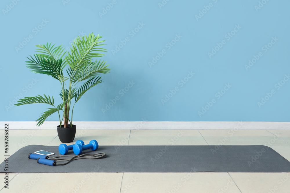 Sports equipment with mobile phone and palm tree on fitness mat near blue wall in gym