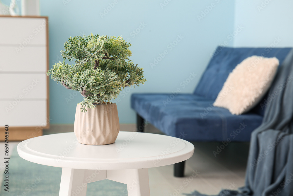 Pot with decorative tree on coffee table in living room, closeup