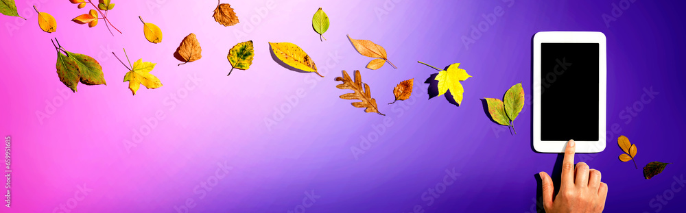 Autumn leaves with person using a tablet computer from above