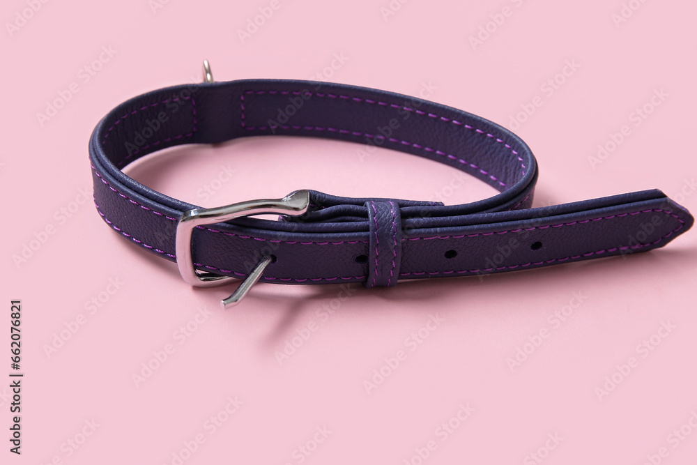 Leather pet collar on pink background