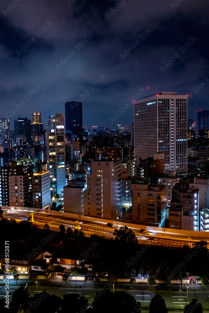 Skyscrapers and highways through Minato, Tokyo, Japan