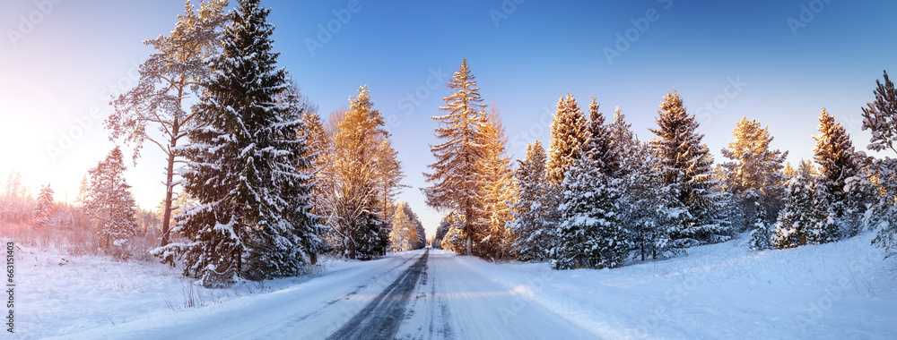 Beautiful winter road in natural sunny park.