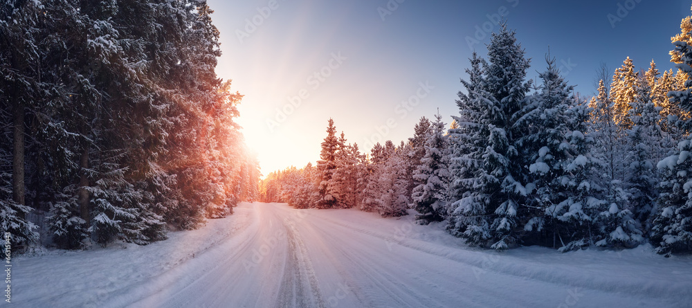 Beautiful winter road in natural sunny park.