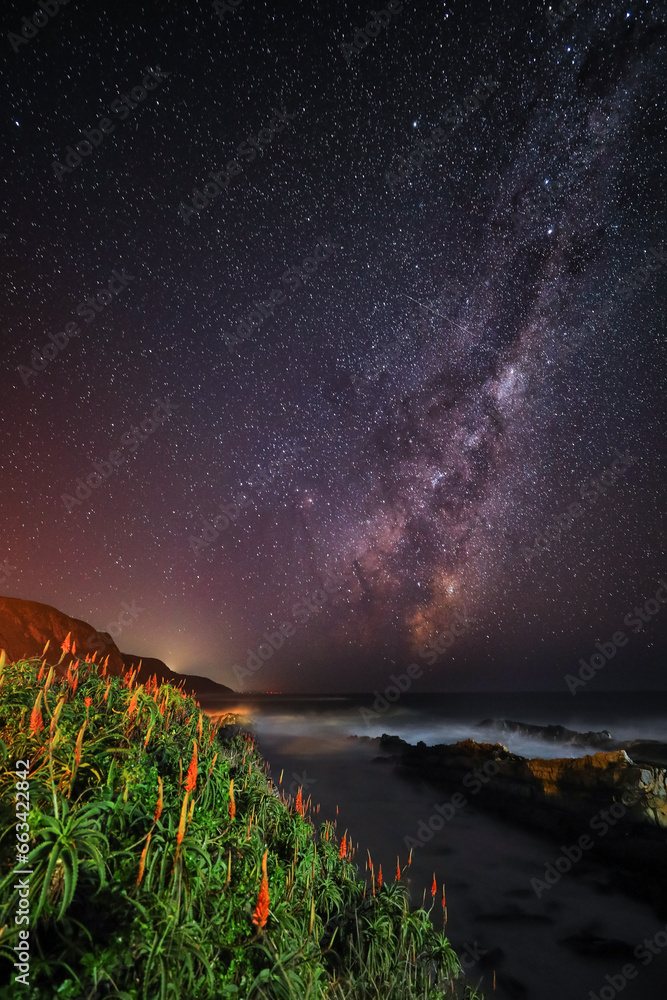 Milky Way galaxy rising over the ocean with flowering aloes in the foreground