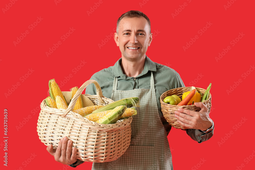 Mature male farmer with wicker baskets full of ripe vegetables on red background