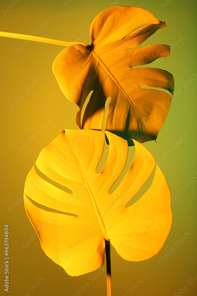 Neon tropical monstera leaves on yellow background