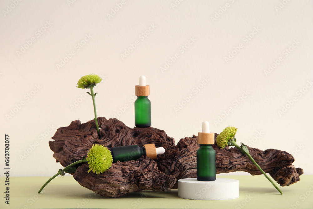 Composition with bottles of essential oil, tree bark and beautiful chrysanthemum flowers on color background