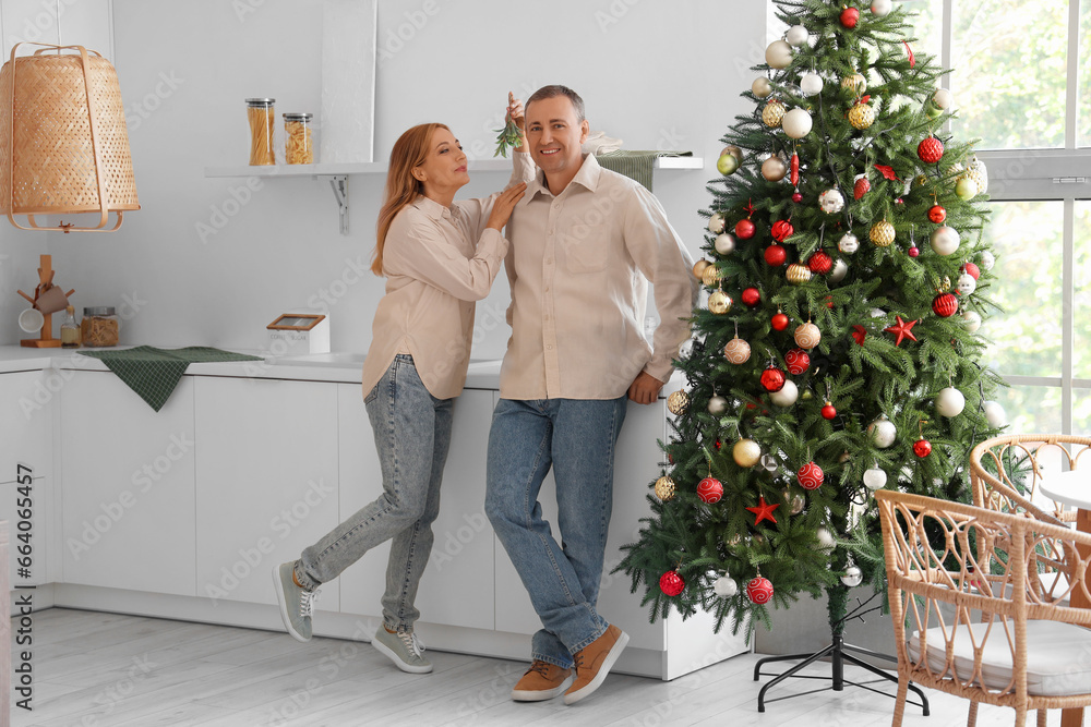 Mature couple with mistletoe branch in kitchen on Christmas eve