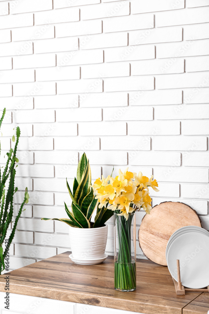 Vase with blooming narcissus flowers, plate and houseplant on wooden kitchen counter