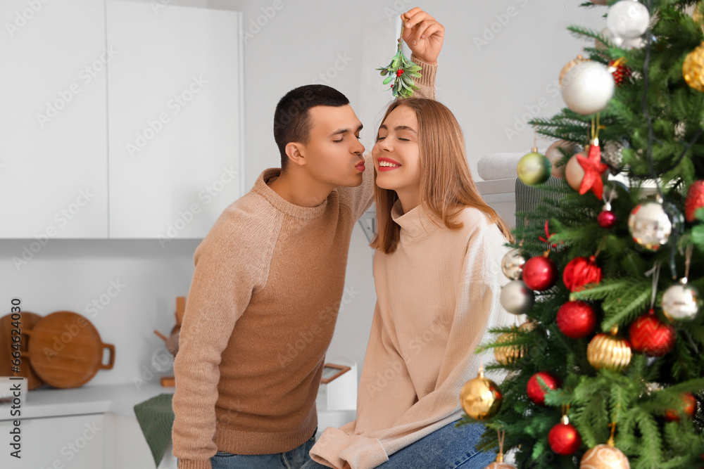 Young couple kissing under mistletoe branch in kitchen