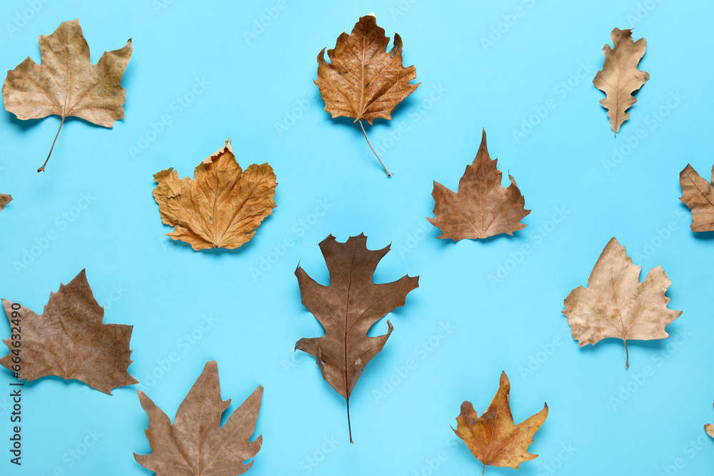 Autumn leaves on blue background