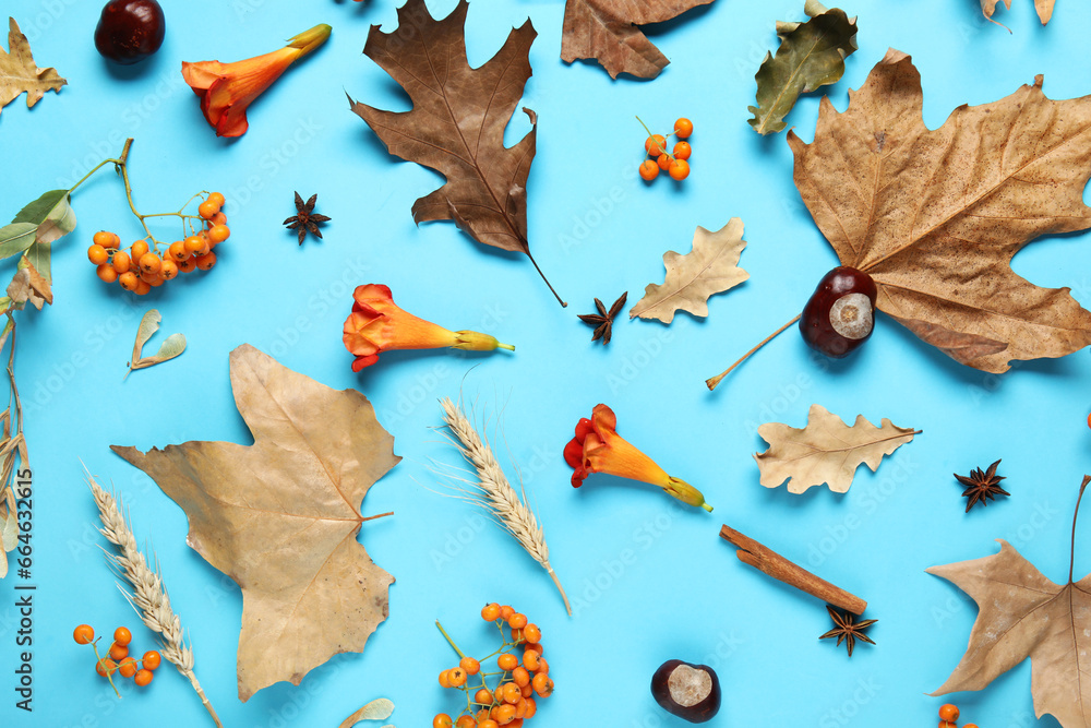 Autumn leaves with chestnuts, flowers and rowan on blue background