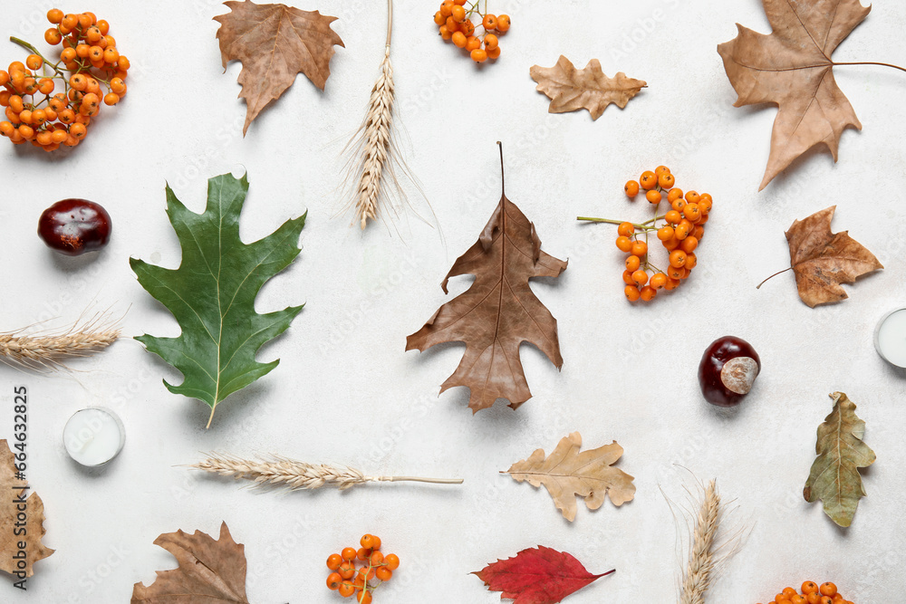 Autumn leaves with rowan, chestnuts and ears of wheat on white background