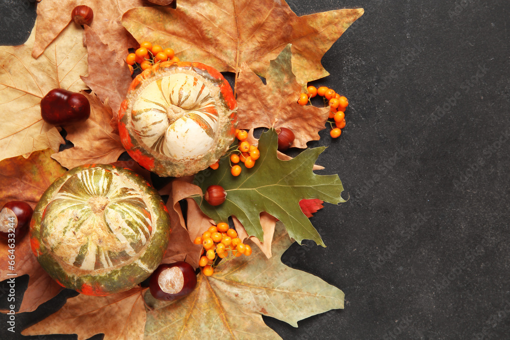 Autumn leaves with pumpkins, rowan and chestnuts on black background