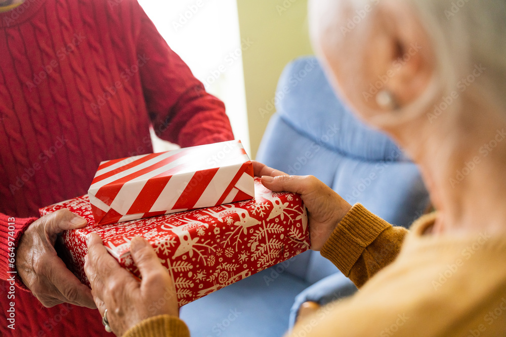 Happy old couple at home