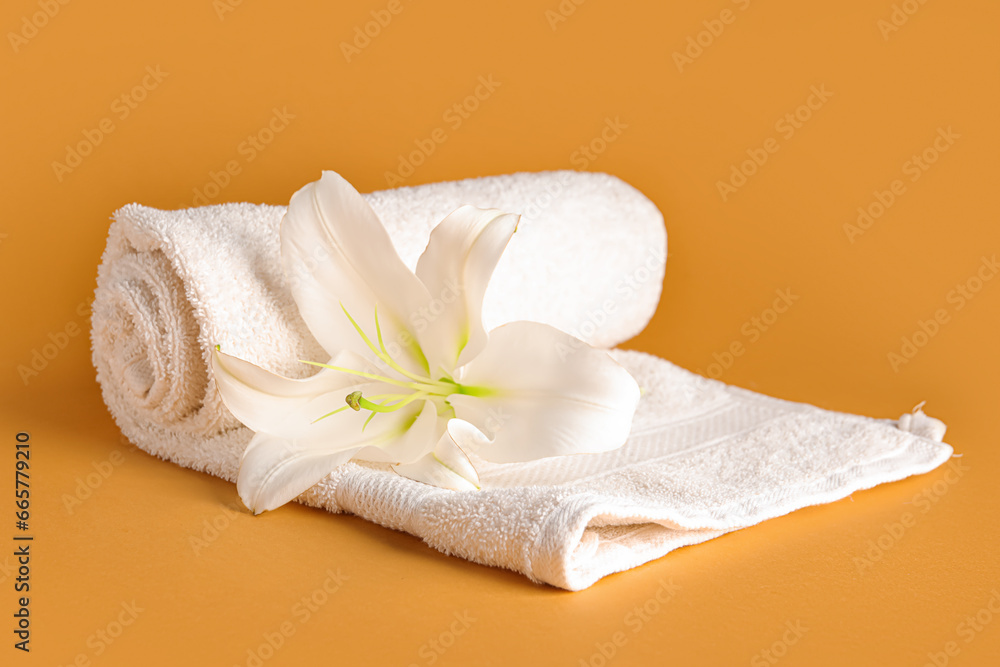 Rolled clean towel and beautiful lily flower on color background