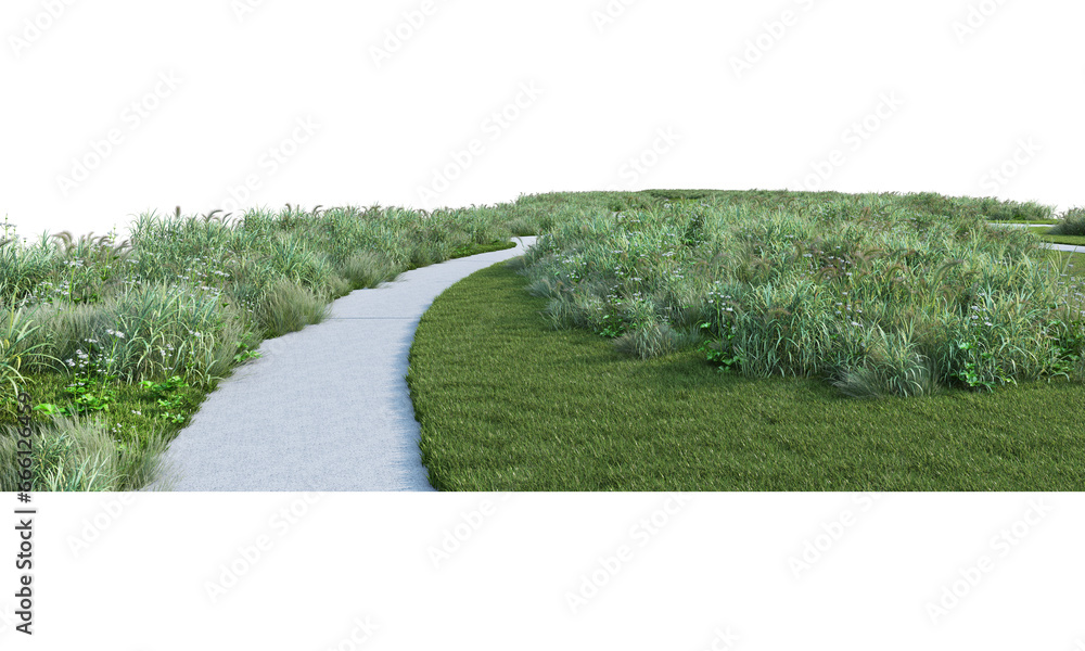 Landscape with many kinds of grass on transparent background