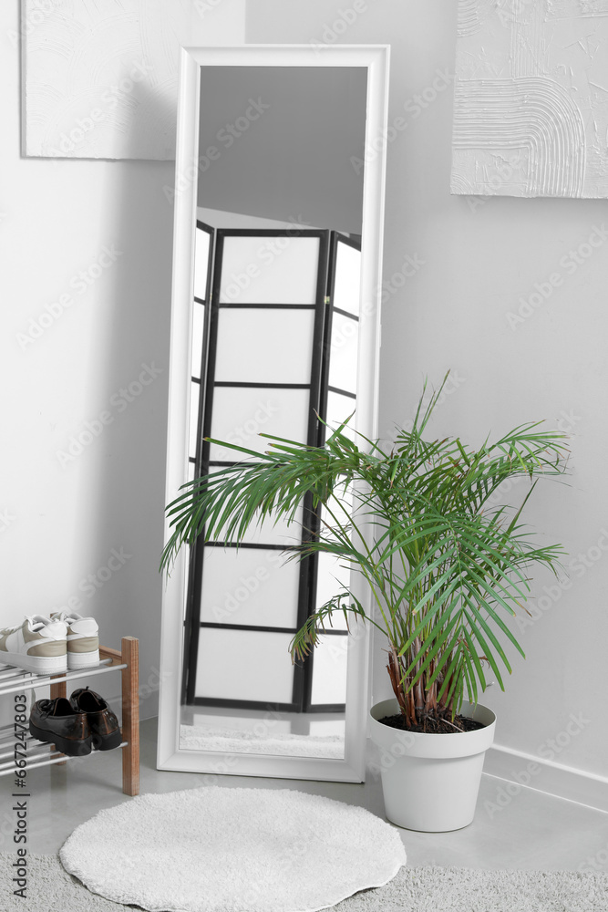 Interior of light hallway with mirror, shoe stand and houseplant