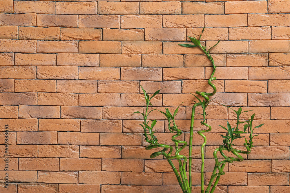 Green bamboo stems against brick wall