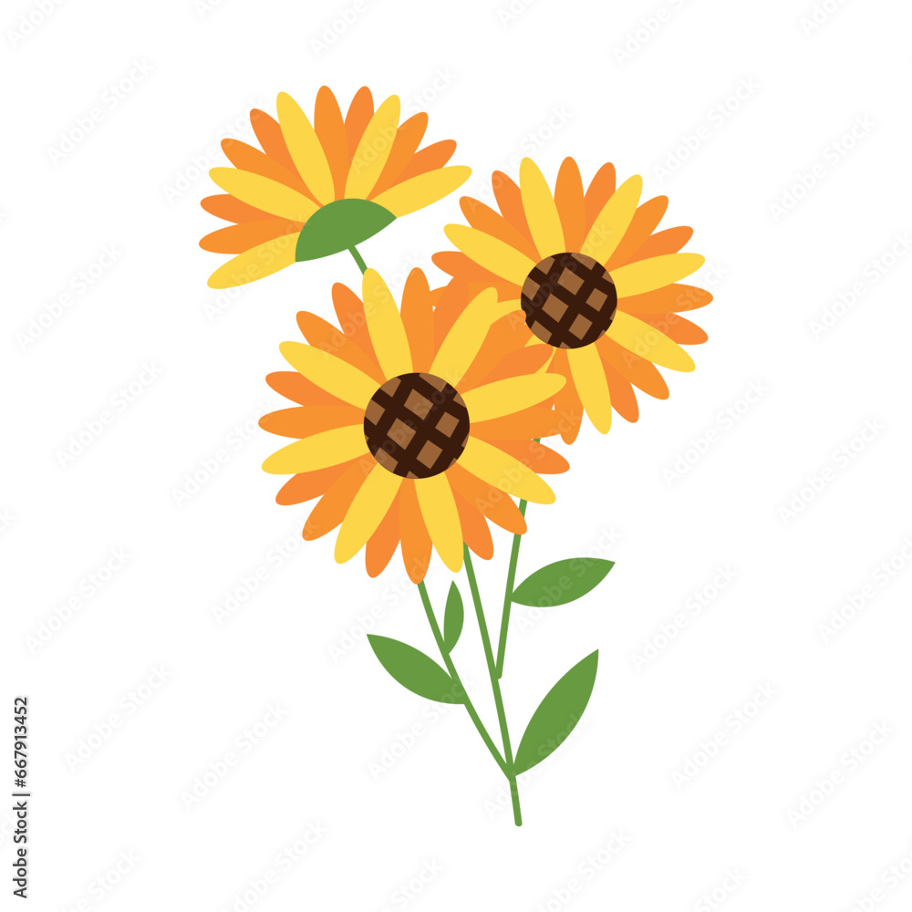 Beautiful sunflowers on white background