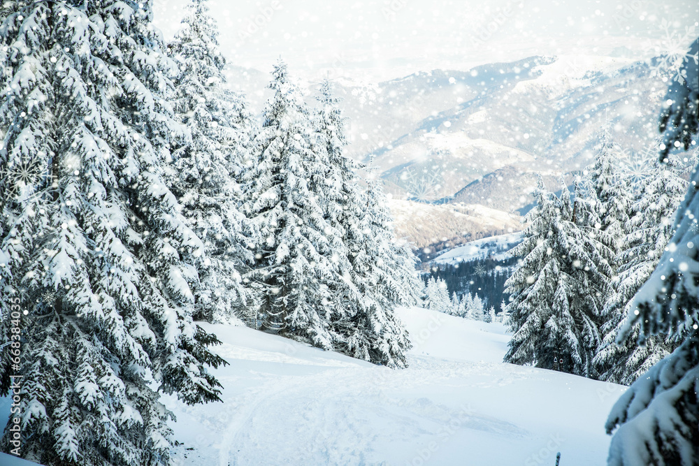 amazing winter landscape with snowy fir trees in the mountains