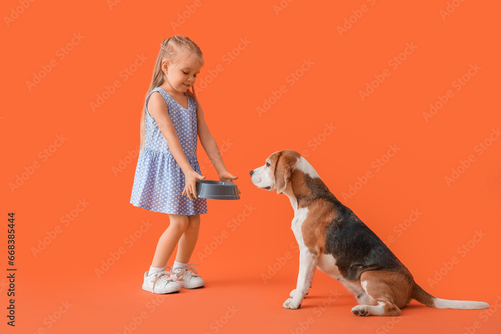 Cute little girl with feeding bowl and Beagle dog on orange background