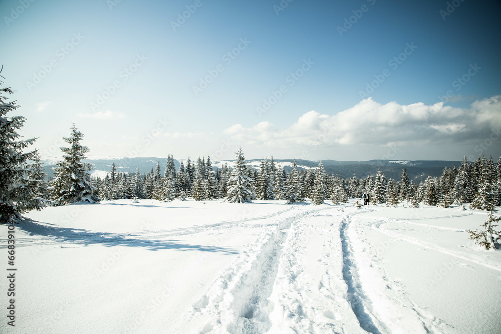 beautiful winter landscape with snowy fir trees