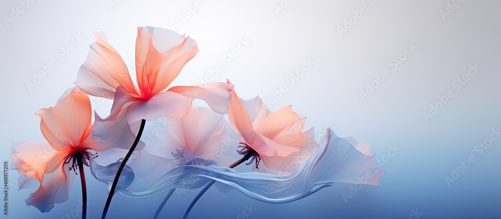 Creative scene with abstract flowers