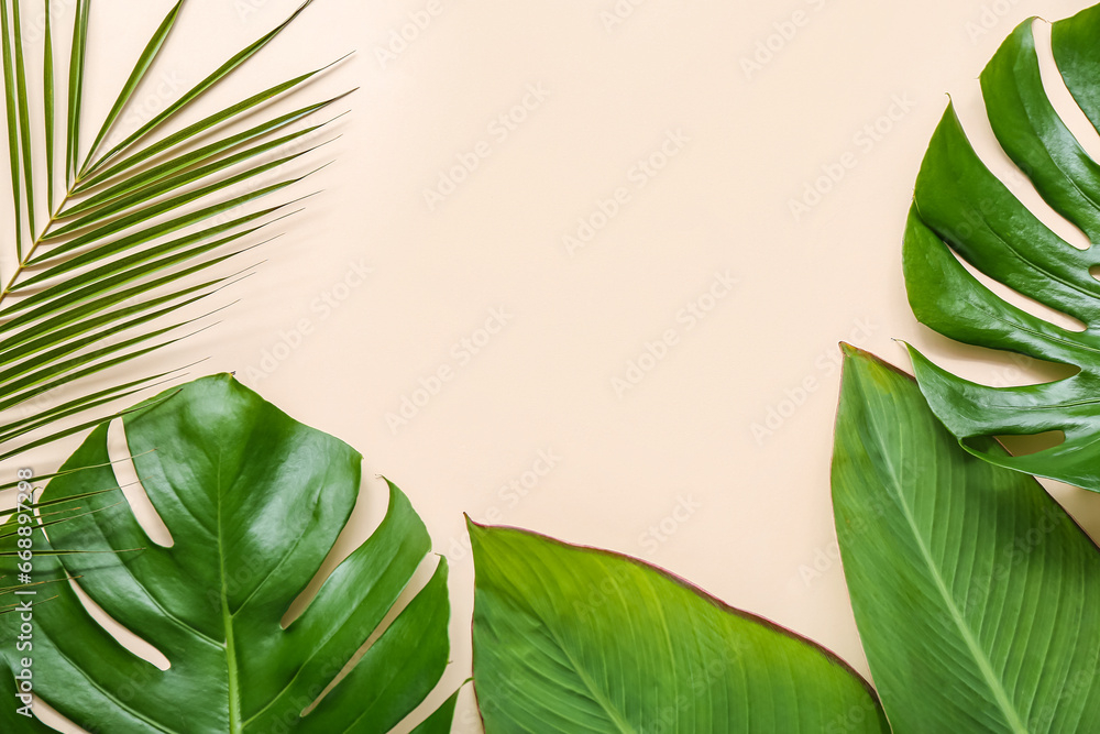 Different tropical leaves on white background