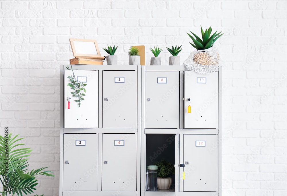 Modern locker with plants near white brick wall