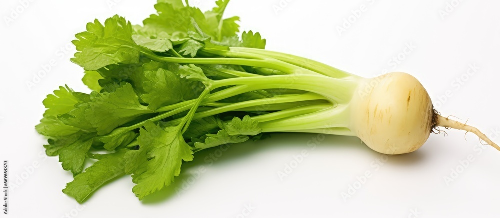 Radish that is green against a white backdrop