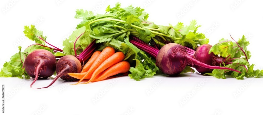 Freshly harvested organic beets and carrots