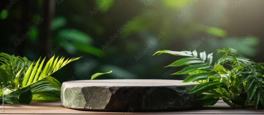 Green natural background with stone and concrete pedestal for product presentation and mock up featuring cosmetic items and green leaf scene