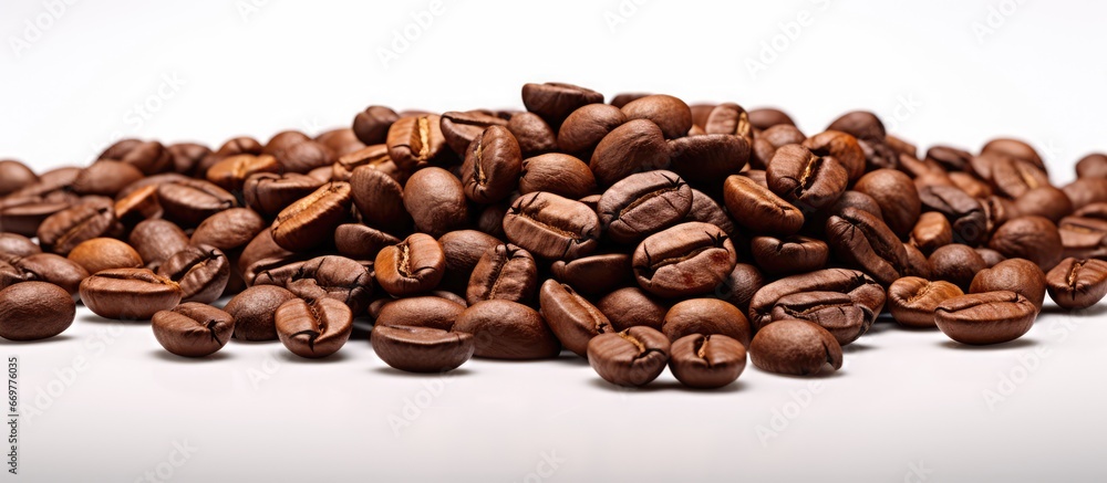 The unprocessed coffee beans