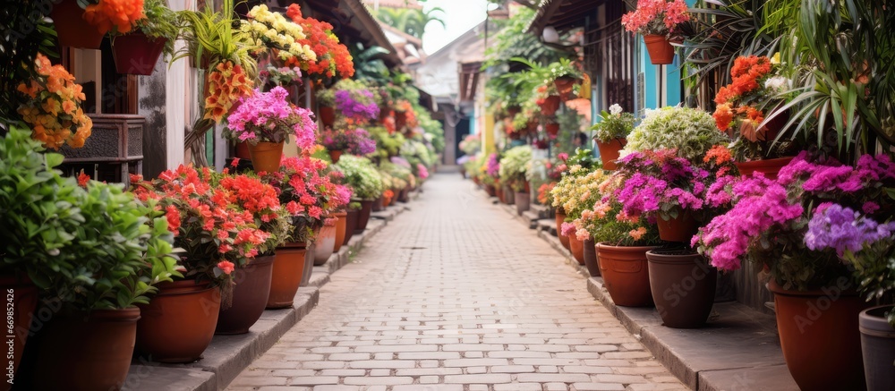 Bali street with a garden of potted flowers