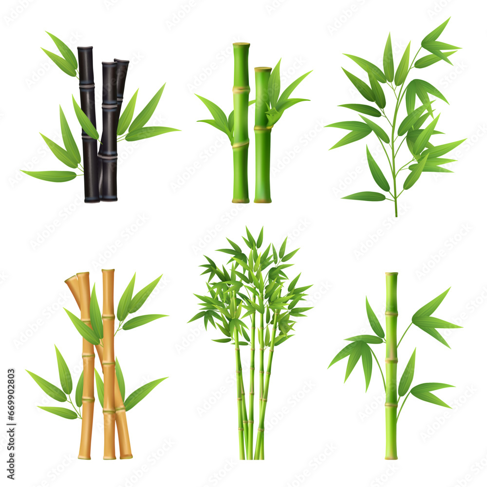 Bamboo plants. Realistic illustration templates of different colors of bamboo stick decent vector pictures