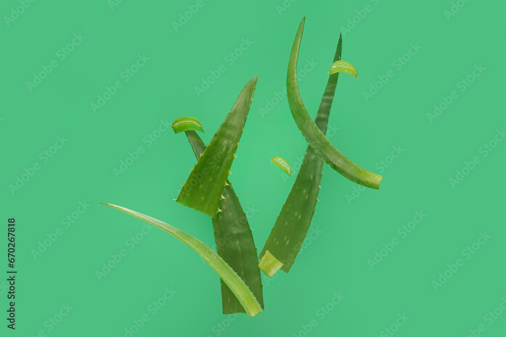 Flying cut aloe leaves on green background