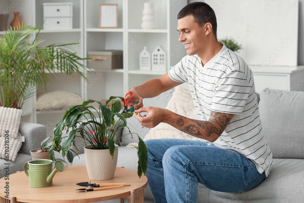 Young man cutting leaves off plant at home