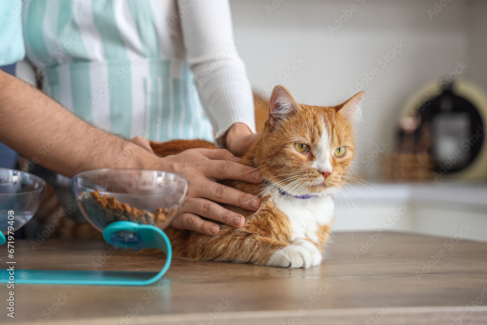 Young couple with cute cat in kitchen, closeup