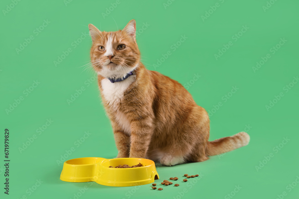 Cute ginger cat with feeding bowl on green background