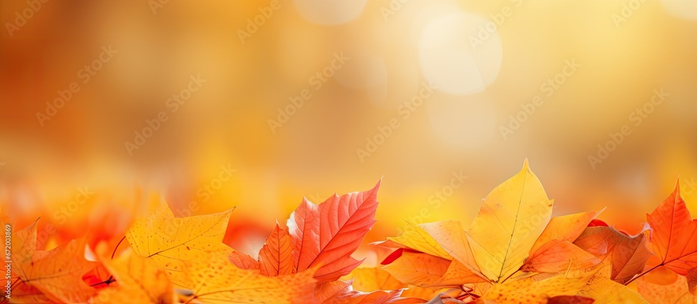 Fall foliage showcasing a vibrant blend of yellow with a touch of orange and red creating a scenic backdrop suitable for abstract art or as a background