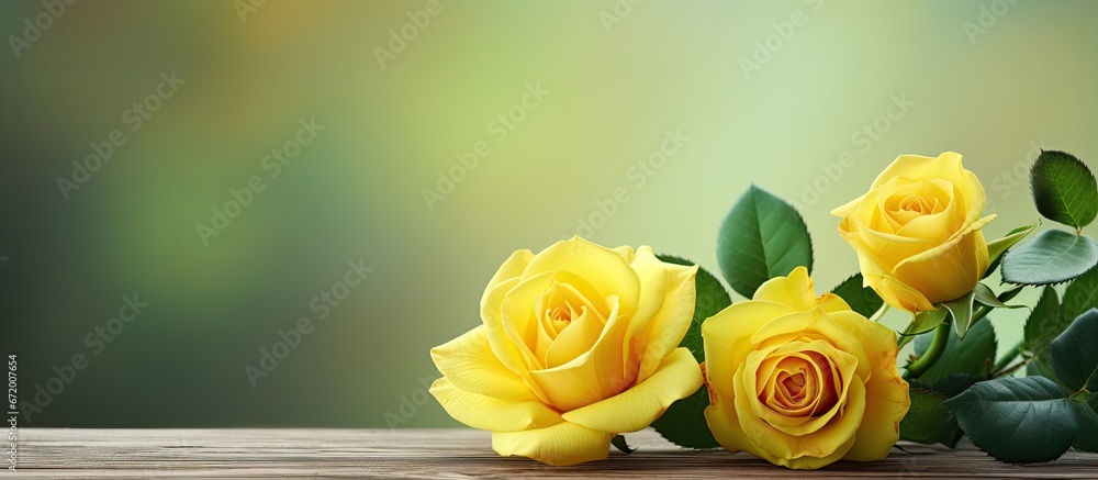 Roses in a sunny hue set against a backdrop of lush verdant foliage