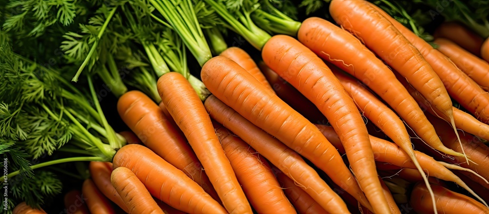 A vegetable shop in the market with a close up view of fresh small carrots