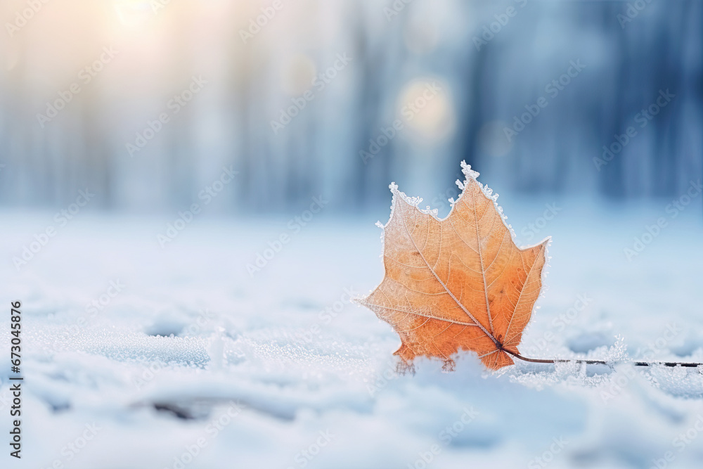 Beautiful winter background with a leaf covered with hoarfrost in nature in the snow,,Winter Christmas background