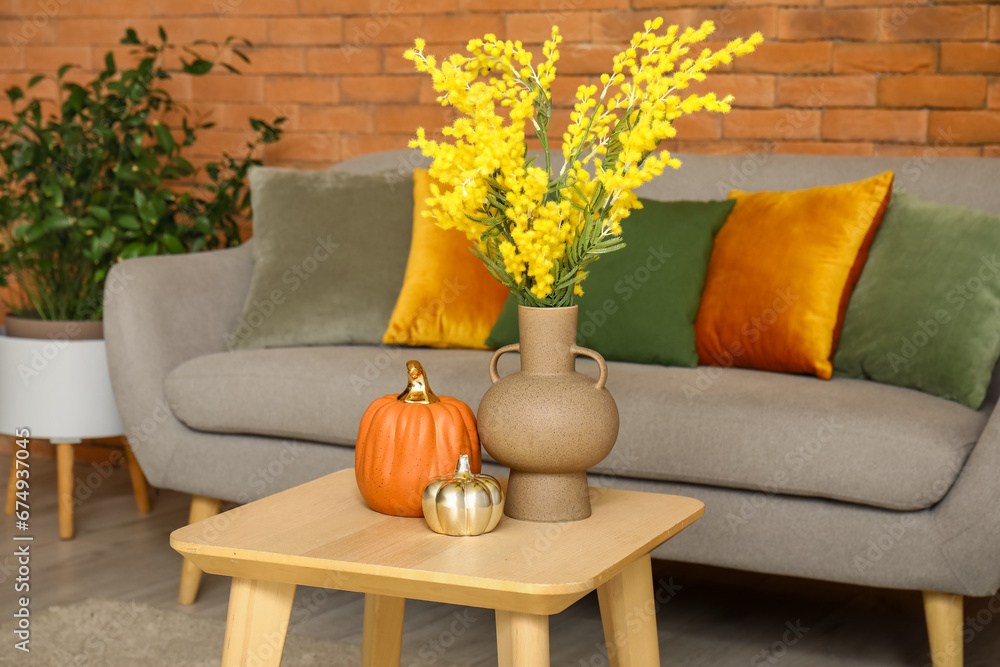 Vase with beautiful mimosa flowers and pumpkins on coffee table in living room, closeup