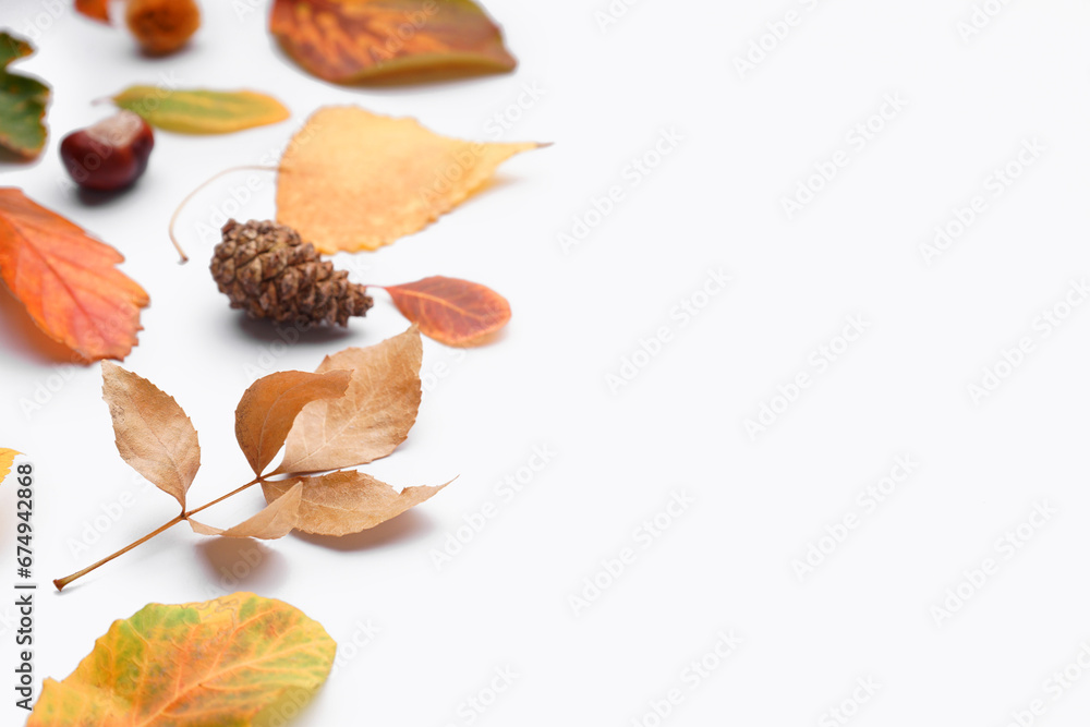 Composition with autumn leaves on white background