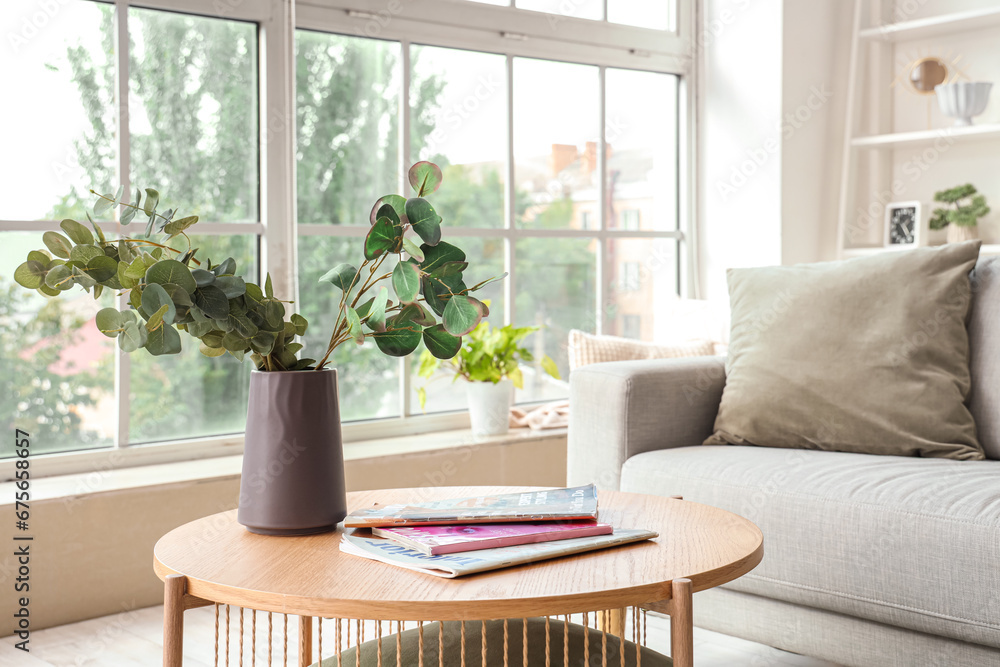 Table with vase of beautiful houseplants and magazines in living room