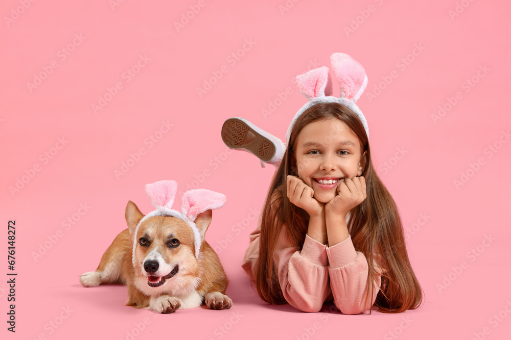 Little girl with cute Corgi dog in bunny ears lying on pink background