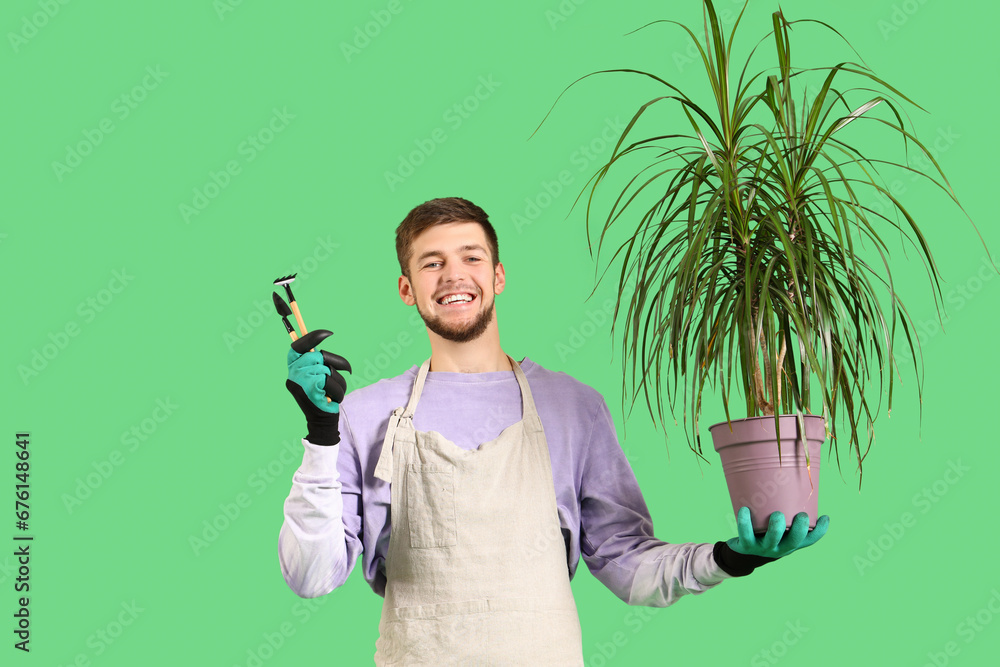 Young bearded man with gardening tools and palm tree on green background