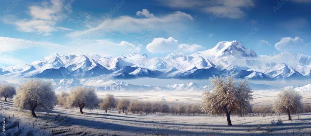 In the rural countryside an orchard filled with apple trees is surrounded by untouched grass and a blanket of snow with majestic mountains towering in the distance creating a picturesque ou